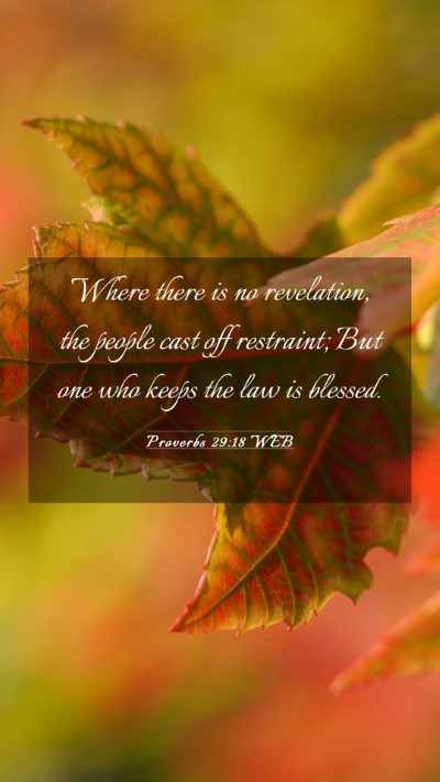 Picture 03 - Proverbs 29:18 WEB Mobile Phone Wallpaper - Where there is no revelation, the people cast off - Mobile Bible Verse Wallpaper