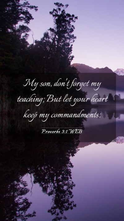 Picture 03 - Proverbs 3:1 WEB Mobile Phone Wallpaper - My son, don't forget my teaching; But let your - Mobile Bible Verse Wallpaper