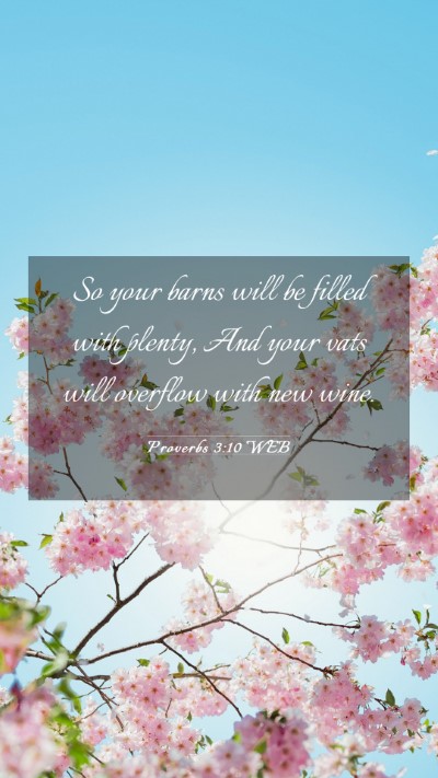 Picture 03 - Proverbs 3:10 WEB Mobile Phone Wallpaper - So your barns will be filled with plenty, And - Mobile Bible Verse Wallpaper