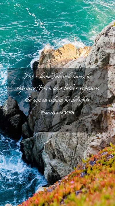 Picture 03 - Proverbs 3:12 WEB Mobile Phone Wallpaper - For whom Yahweh loves, he reproves; Even as a - Mobile Bible Verse Wallpaper