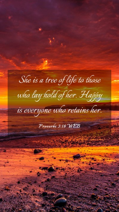 Picture 03 - Proverbs 3:18 WEB Mobile Phone Wallpaper - She is a tree of life to those who lay hold of - Mobile Bible Verse Wallpaper