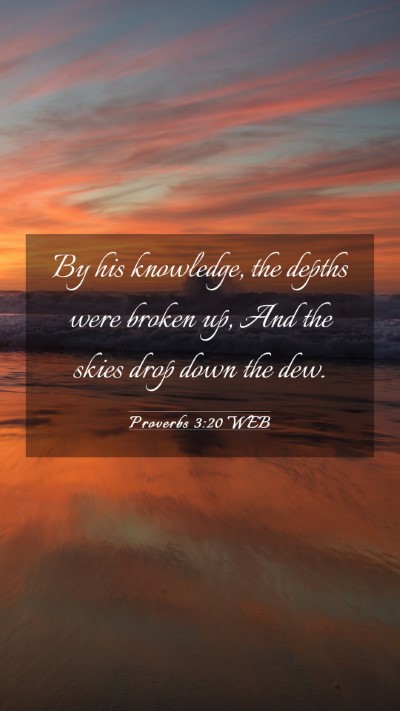Picture 03 - Proverbs 3:20 WEB Mobile Phone Wallpaper - By his knowledge, the depths were broken up, And - Mobile Bible Verse Wallpaper