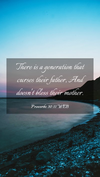 Picture 03 - Proverbs 30:11 WEB Mobile Phone Wallpaper - There is a generation that curses their father, - Mobile Bible Verse Wallpaper