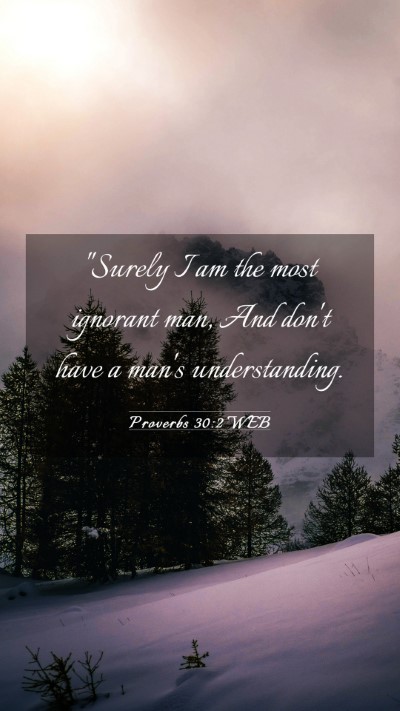 Picture 03 - Proverbs 30:2 WEB Mobile Phone Wallpaper - 