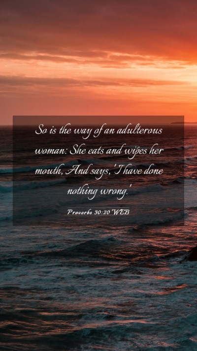 Picture 03 - Proverbs 30:20 WEB Mobile Phone Wallpaper - So is the way of an adulterous woman: She eats - Mobile Bible Verse Wallpaper
