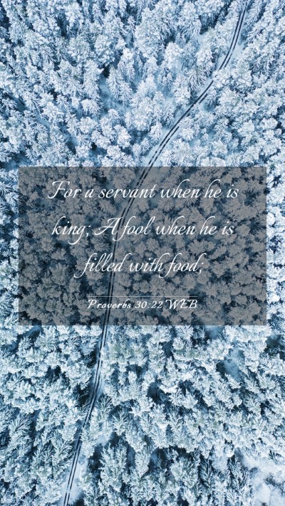 Picture 03 - Proverbs 30:22 WEB Mobile Phone Wallpaper - For a servant when he is king; A fool when he is - Mobile Bible Verse Wallpaper