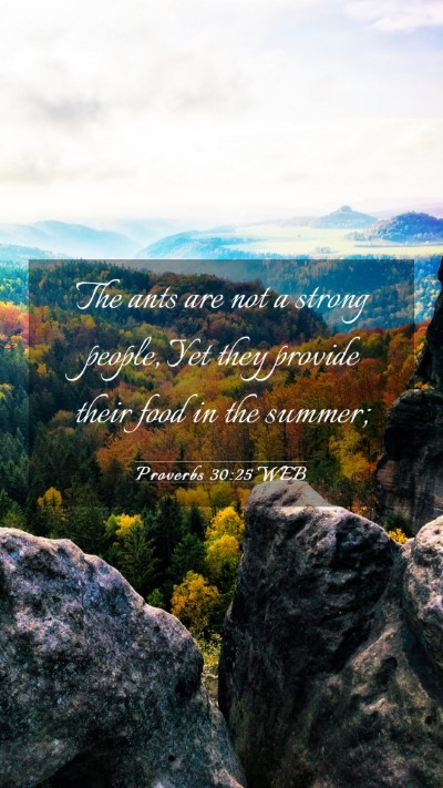 Picture 03 - Proverbs 30:25 WEB Mobile Phone Wallpaper - The ants are not a strong people, Yet they - Mobile Bible Verse Wallpaper
