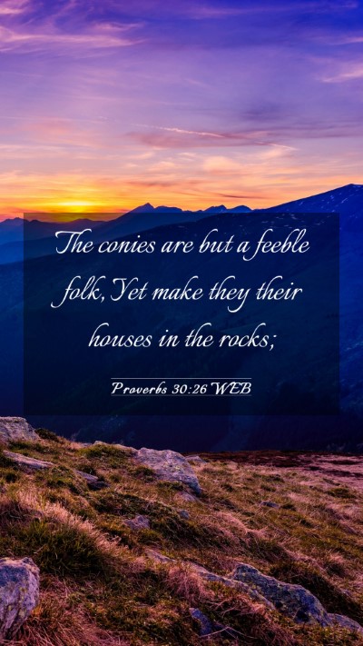 Picture 03 - Proverbs 30:26 WEB Mobile Phone Wallpaper - The conies are but a feeble folk, Yet make they - Mobile Bible Verse Wallpaper