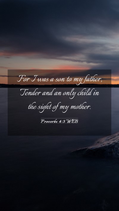 Picture 03 - Proverbs 4:3 WEB Mobile Phone Wallpaper - For I was a son to my father, Tender and an only - Mobile Bible Verse Wallpaper