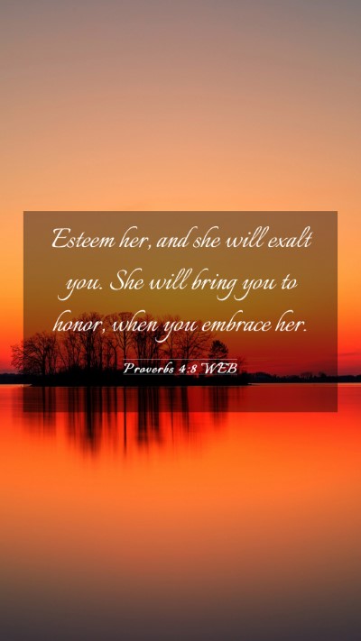 Picture 03 - Proverbs 4:8 WEB Mobile Phone Wallpaper - Esteem her, and she will exalt you. She will - Mobile Bible Verse Wallpaper