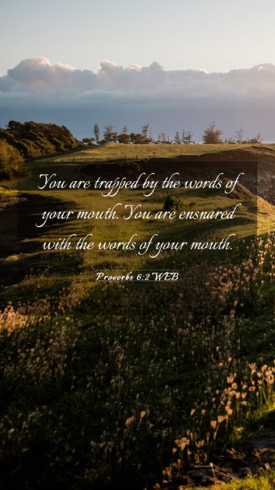 Picture 03 - Proverbs 6:2 WEB Mobile Phone Wallpaper - You are trapped by the words of your mouth. You - Mobile Bible Verse Wallpaper