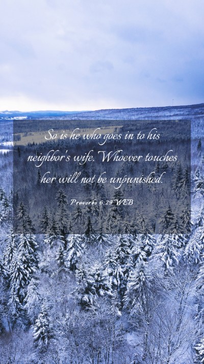 Picture 03 - Proverbs 6:29 WEB Mobile Phone Wallpaper - So is he who goes in to his neighbor's wife. - Mobile Bible Verse Wallpaper
