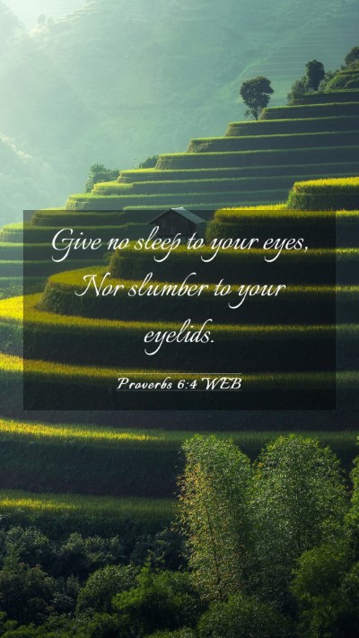 Picture 03 - Proverbs 6:4 WEB Mobile Phone Wallpaper - Give no sleep to your eyes, Nor slumber to your - Mobile Bible Verse Wallpaper