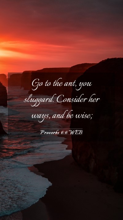 Picture 03 - Proverbs 6:6 WEB Mobile Phone Wallpaper - Go to the ant, you sluggard. Consider her ways, - Mobile Bible Verse Wallpaper