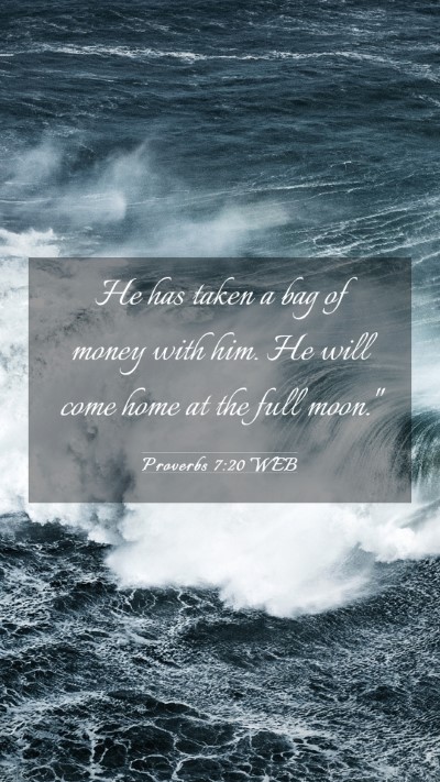 Picture 03 - Proverbs 7:20 WEB Mobile Phone Wallpaper - He has taken a bag of money with him. He will - Mobile Bible Verse Wallpaper