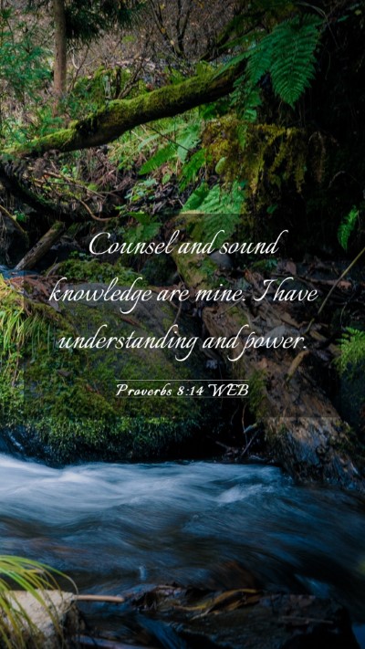 Picture 03 - Proverbs 8:14 WEB Mobile Phone Wallpaper - Counsel and sound knowledge are mine. I have - Mobile Bible Verse Wallpaper