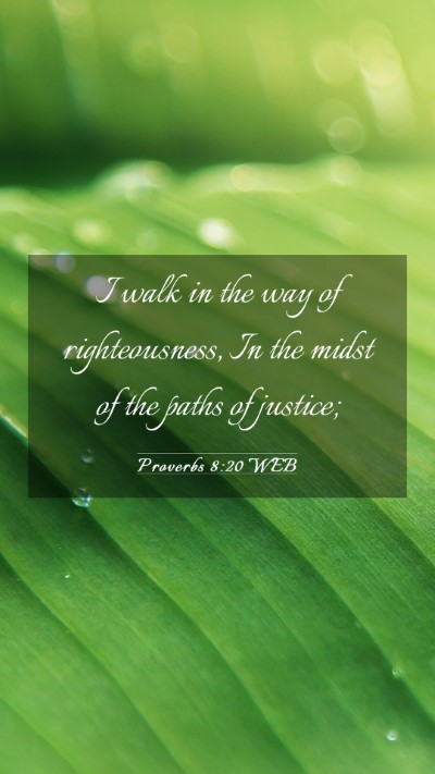 Picture 03 - Proverbs 8:20 WEB Mobile Phone Wallpaper - I walk in the way of righteousness, In the midst - Mobile Bible Verse Wallpaper