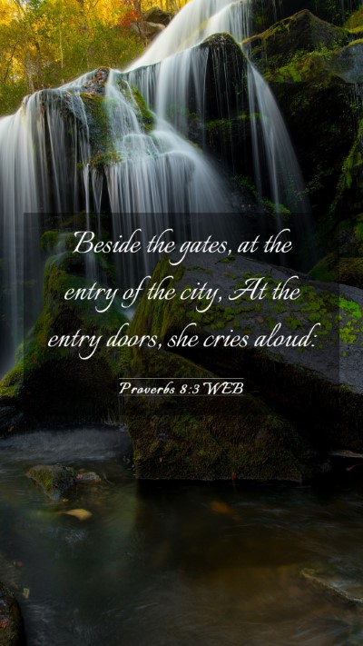 Picture 03 - Proverbs 8:3 WEB Mobile Phone Wallpaper - Beside the gates, at the entry of the city, At - Mobile Bible Verse Wallpaper