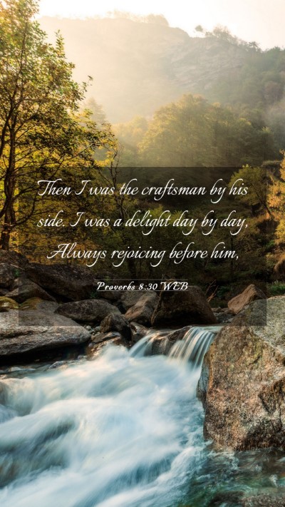 Picture 03 - Proverbs 8:30 WEB Mobile Phone Wallpaper - Then I was the craftsman by his side. I was a - Mobile Bible Verse Wallpaper
