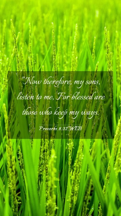 Picture 03 - Proverbs 8:32 WEB Mobile Phone Wallpaper - 