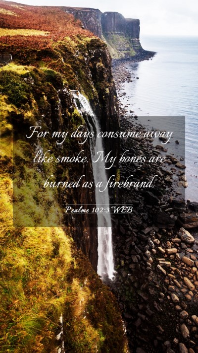 Picture 03 - Psalms 102:3 WEB Mobile Phone Wallpaper - For my days consume away like smoke. My bones are - Mobile Bible Verse Wallpaper