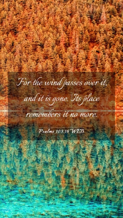 Picture 03 - Psalms 103:16 WEB Mobile Phone Wallpaper - For the wind passes over it, and it is gone. Its - Mobile Bible Verse Wallpaper