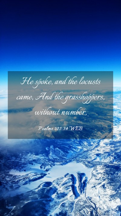 Picture 03 - Psalms 105:34 WEB Mobile Phone Wallpaper - He spoke, and the locusts came, And the - Mobile Bible Verse Wallpaper