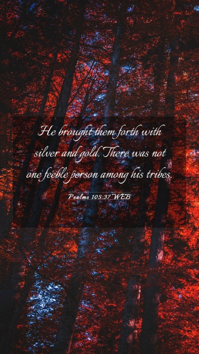 Picture 03 - Psalms 105:37 WEB Mobile Phone Wallpaper - He brought them forth with silver and gold. There - Mobile Bible Verse Wallpaper