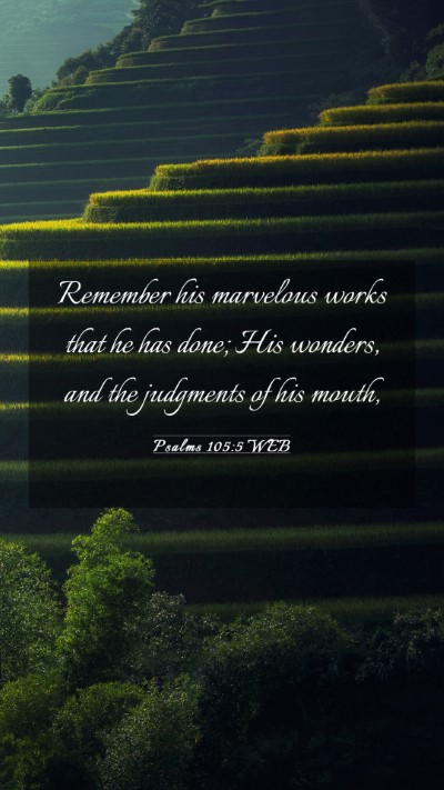 Picture 03 - Psalms 105:5 WEB Mobile Phone Wallpaper - Remember his marvelous works that he has done; - Mobile Bible Verse Wallpaper