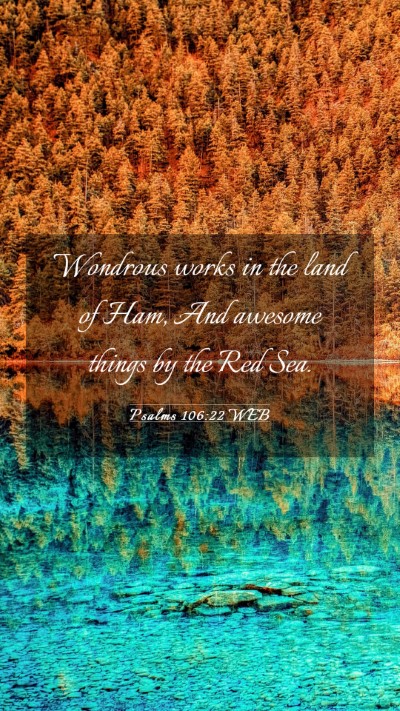 Picture 03 - Psalms 106:22 WEB Mobile Phone Wallpaper - Wondrous works in the land of Ham, And awesome - Mobile Bible Verse Wallpaper