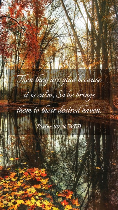 Picture 03 - Psalms 107:30 WEB Mobile Phone Wallpaper - Then they are glad because it is calm, So he - Mobile Bible Verse Wallpaper