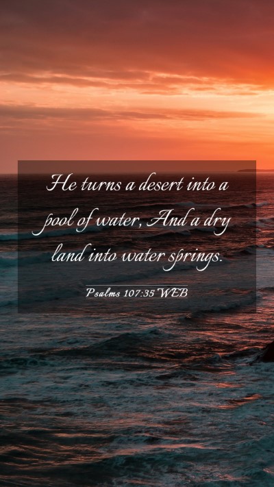 Picture 03 - Psalms 107:35 WEB Mobile Phone Wallpaper - He turns a desert into a pool of water, And a dry - Mobile Bible Verse Wallpaper