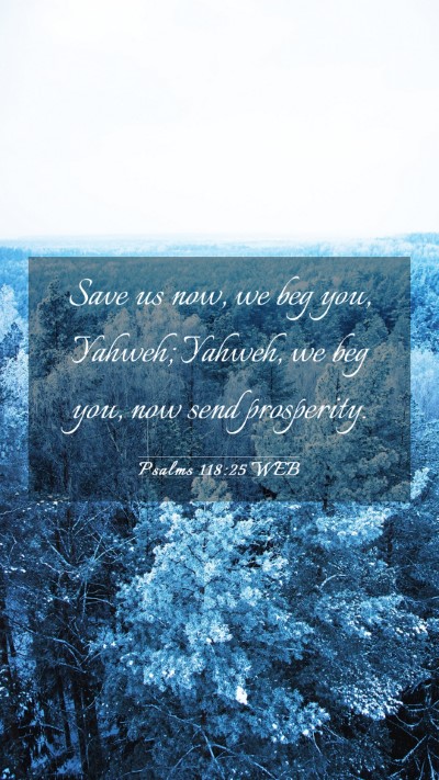 Picture 03 - Psalms 118:25 WEB Mobile Phone Wallpaper - Save us now, we beg you, Yahweh; Yahweh, we beg - Mobile Bible Verse Wallpaper