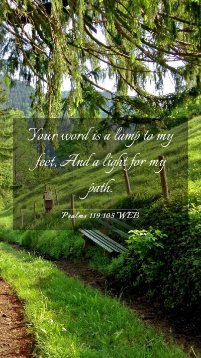 Picture 03 - Psalms 119:105 WEB Mobile Phone Wallpaper - Your word is a lamp to my feet, And a light for - Mobile Bible Verse Wallpaper