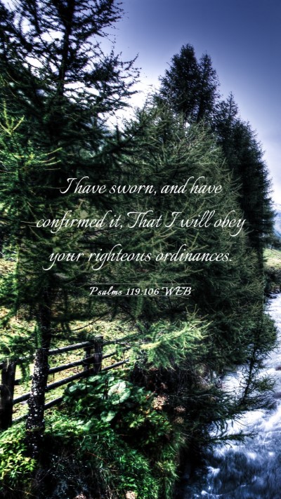 Picture 03 - Psalms 119:106 WEB Mobile Phone Wallpaper - I have sworn, and have confirmed it, That I will - Mobile Bible Verse Wallpaper