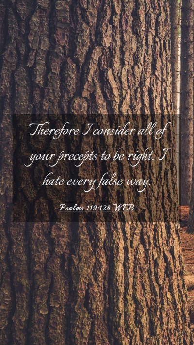 Picture 03 - Psalms 119:128 WEB Mobile Phone Wallpaper - Therefore I consider all of your precepts to be - Mobile Bible Verse Wallpaper