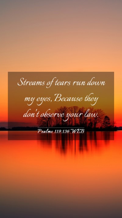Picture 03 - Psalms 119:136 WEB Mobile Phone Wallpaper - Streams of tears run down my eyes, Because they - Mobile Bible Verse Wallpaper