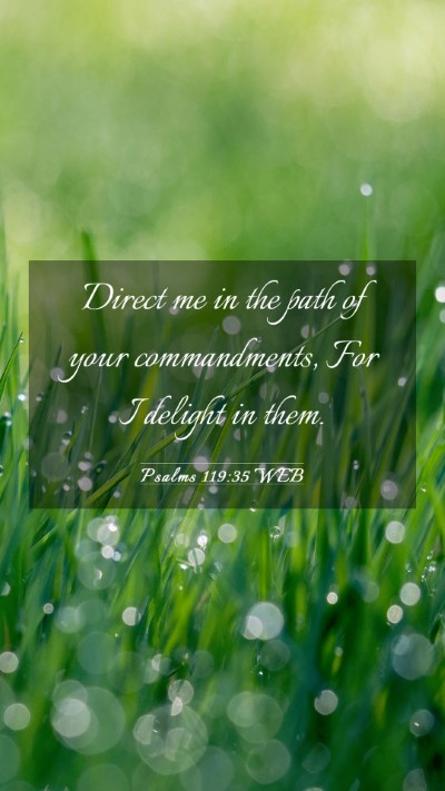 Picture 03 - Psalms 119:35 WEB Mobile Phone Wallpaper - Direct me in the path of your commandments, For I - Mobile Bible Verse Wallpaper