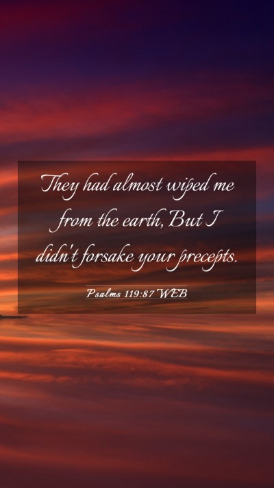 Picture 03 - Psalms 119:87 WEB Mobile Phone Wallpaper - They had almost wiped me from the earth, But I - Mobile Bible Verse Wallpaper