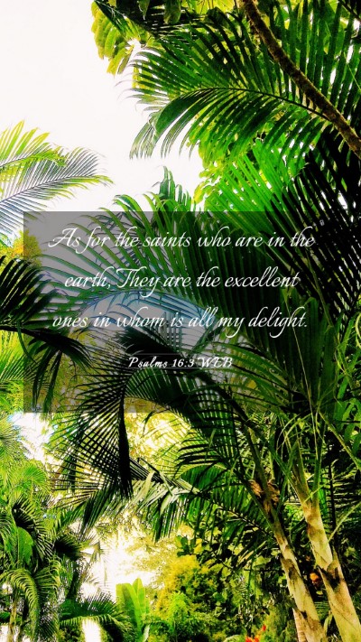 Picture 03 - Psalms 16:3 WEB Mobile Phone Wallpaper - As for the saints who are in the earth, They are - Mobile Bible Verse Wallpaper