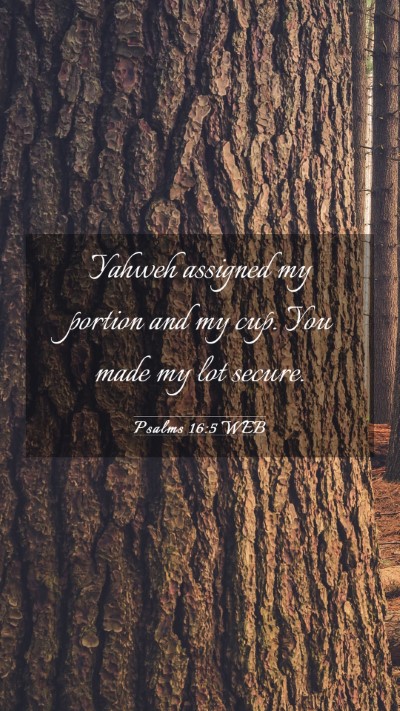 Picture 03 - Psalms 16:5 WEB Mobile Phone Wallpaper - Yahweh assigned my portion and my cup. You made - Mobile Bible Verse Wallpaper