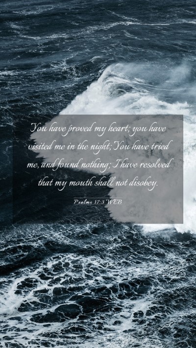 Picture 03 - Psalms 17:3 WEB Mobile Phone Wallpaper - You have proved my heart; you have visited me in - Mobile Bible Verse Wallpaper