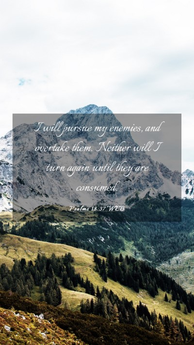 Picture 03 - Psalms 18:37 WEB Mobile Phone Wallpaper - I will pursue my enemies, and overtake them. - Mobile Bible Verse Wallpaper