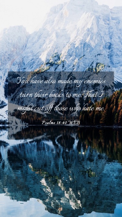 Picture 03 - Psalms 18:40 WEB Mobile Phone Wallpaper - You have also made my enemies turn their backs to - Mobile Bible Verse Wallpaper