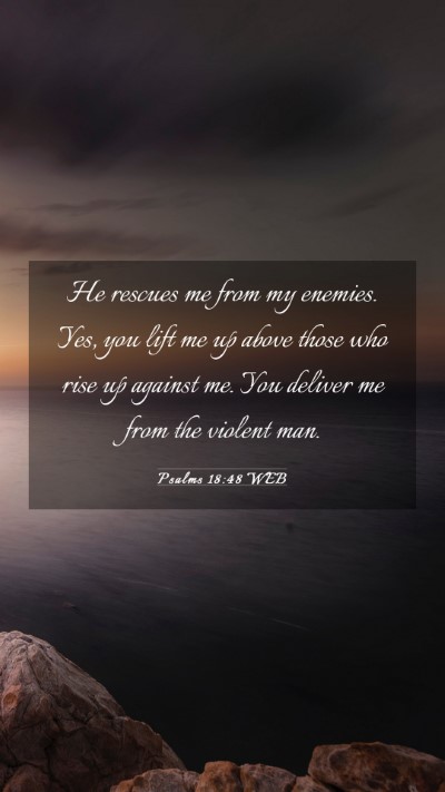 Picture 03 - Psalms 18:48 WEB Mobile Phone Wallpaper - He rescues me from my enemies. Yes, you lift me - Mobile Bible Verse Wallpaper