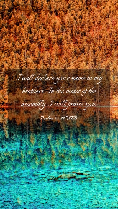 Picture 03 - Psalms 22:22 WEB Mobile Phone Wallpaper - I will declare your name to my brothers. In the - Mobile Bible Verse Wallpaper