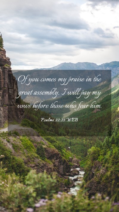 Picture 03 - Psalms 22:25 WEB Mobile Phone Wallpaper - Of you comes my praise in the great assembly. I - Mobile Bible Verse Wallpaper