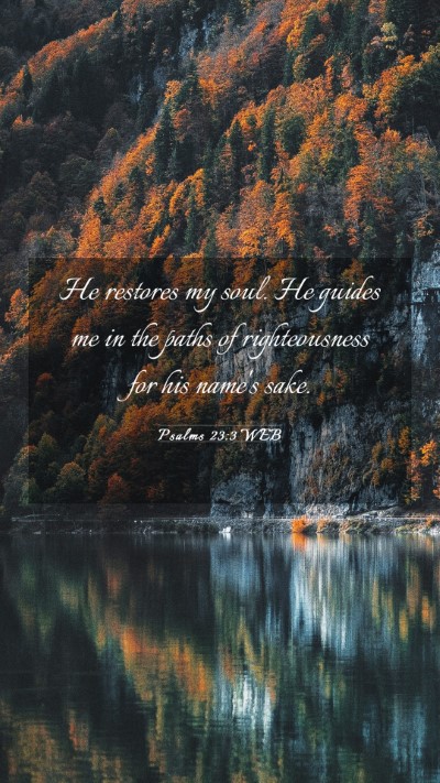 Picture 03 - Psalms 23:3 WEB Mobile Phone Wallpaper - He restores my soul. He guides me in the paths of - Mobile Bible Verse Wallpaper