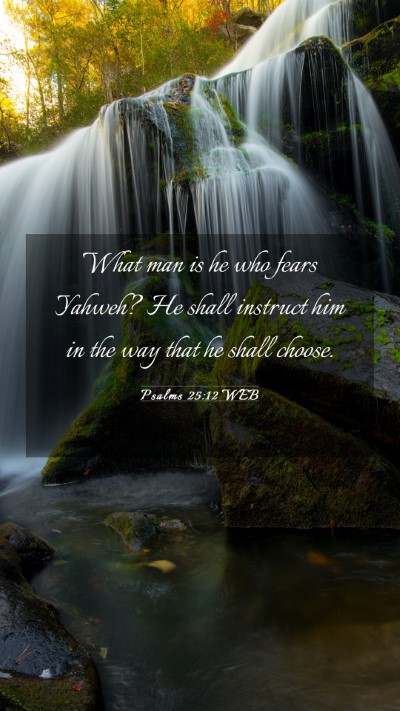 Picture 03 - Psalms 25:12 WEB Mobile Phone Wallpaper - What man is he who fears Yahweh? He shall - Mobile Bible Verse Wallpaper
