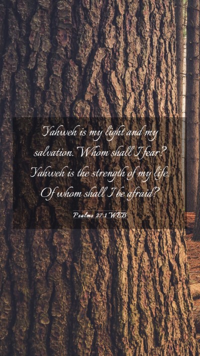 Picture 03 - Psalms 27:1 WEB Mobile Phone Wallpaper - Yahweh is my light and my salvation. Whom shall I - Mobile Bible Verse Wallpaper